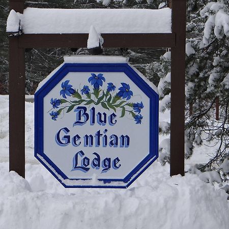 Blue Gentian Lodge At Magic Mountain Londonderry Екстериор снимка
