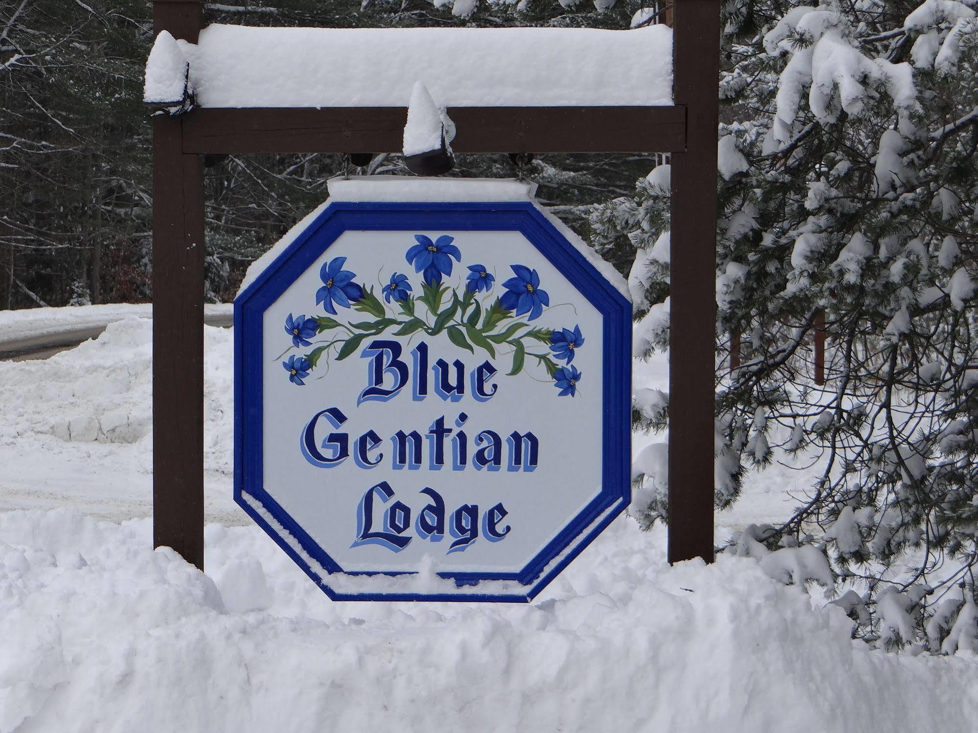 Blue Gentian Lodge At Magic Mountain Londonderry Екстериор снимка